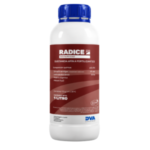 INCENTIA RADICE